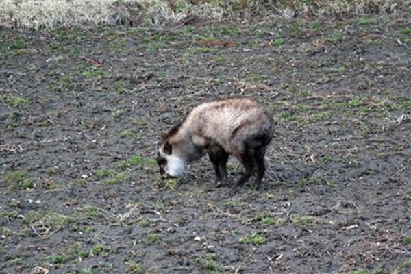 IMG_4118_edited-1_T_T1