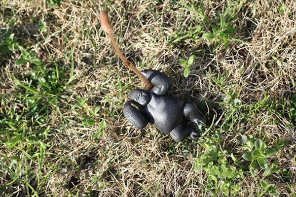 IMG_4698_R