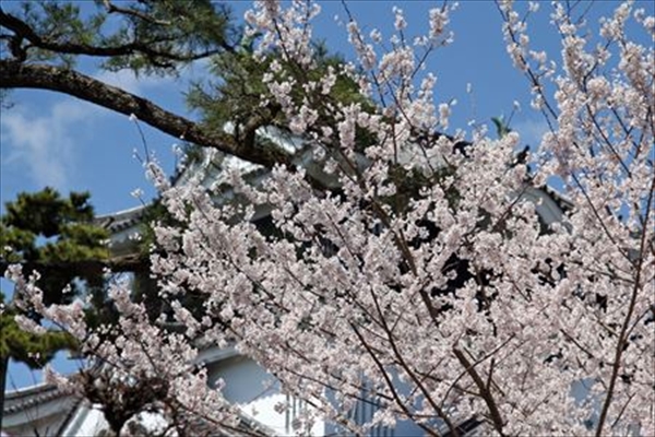 IMG_4803_edited-1_T_R