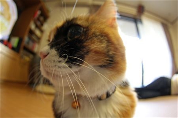 IMG_3420_edited-1_T_R