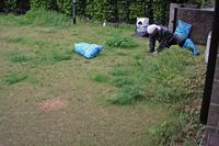 IMG_8293_edited-1_T_1