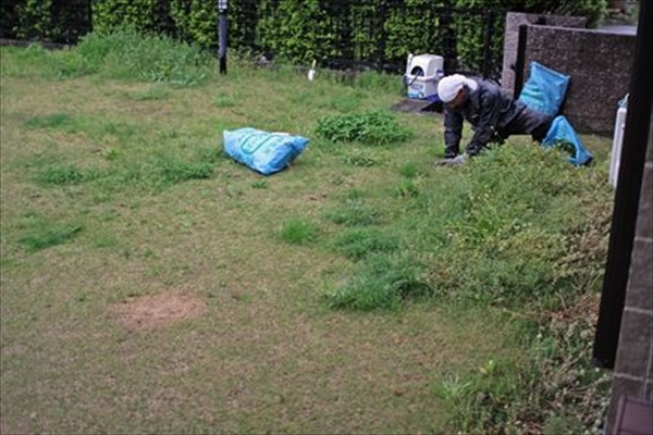 IMG_8293_edited-1_T_R