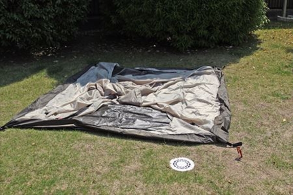 IMG_8830_edited-1_T_R