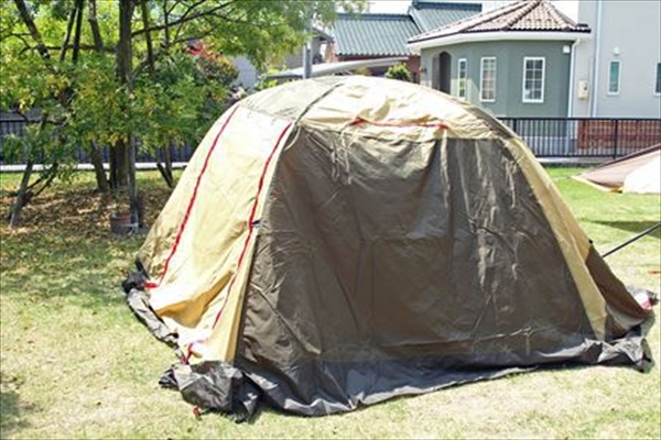 IMG_8844_edited-1_T_R