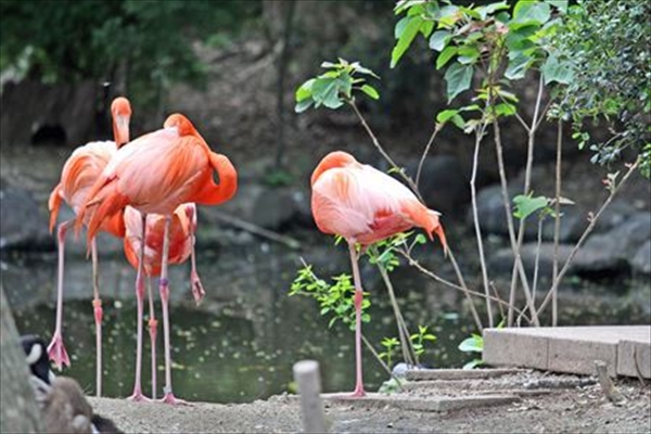 IMG_9002_edited-1_T_R