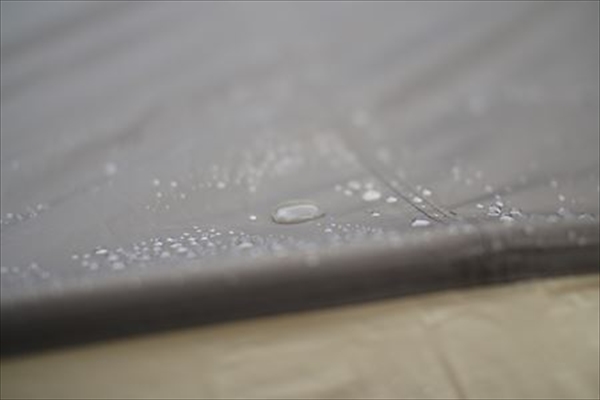 IMG_9285_T_R