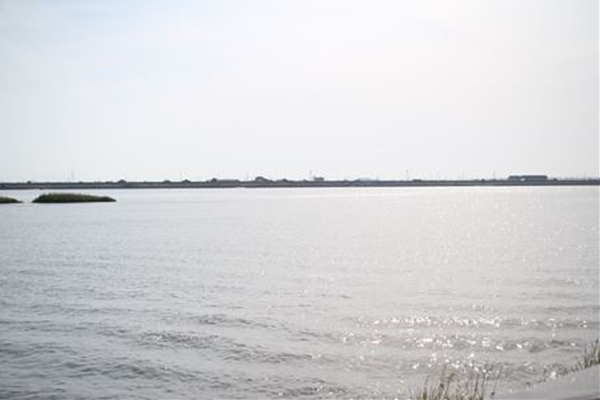 IMG_9480_T_T1