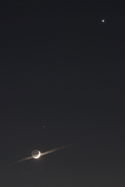 IMG_95631_T_T1