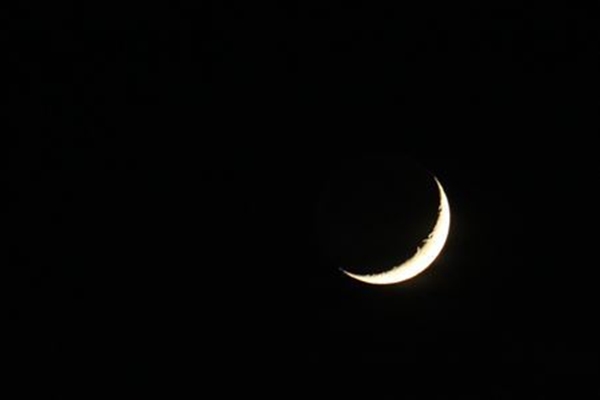 IMG_95821_T_T1
