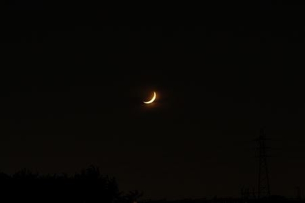 IMG_9618_T_T1