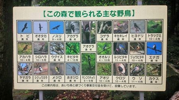 1434147593298_edited-1_T_R