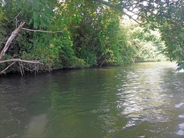 DSCF1011_edited-1_R_R