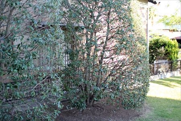 IMG_0804_edited-1_T_R