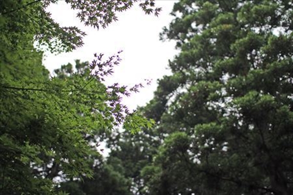 IMG_1043_edited-1_T_R
