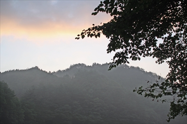 IMG_1229_edited-1_R_R