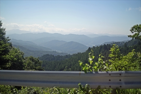 IMG_1333_edited-1_R_R