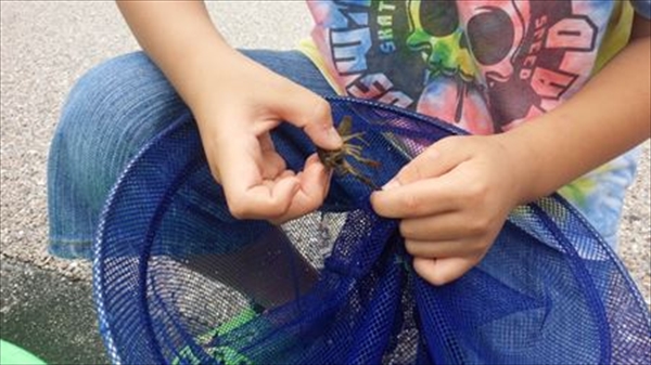 IMG_20150703_171917_T_R