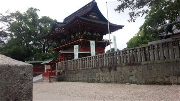 IMG_20150703_171921_T_R