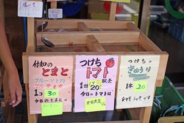 IMG_1646_edited-1_T_R