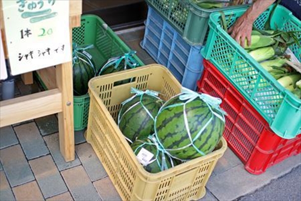 IMG_1647_edited-1_T_R