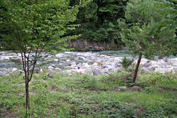 IMG_1666_edited-1_T_T1