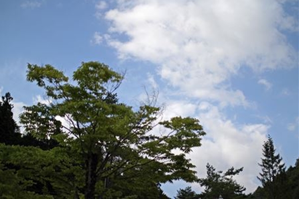 IMG_1678_edited-1_T_T1