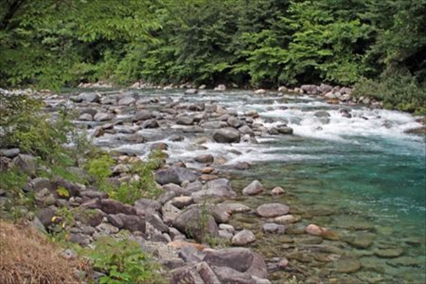 IMG_1681_edited-1_T_R
