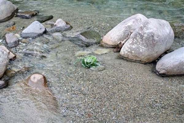 IMG_1689_edited-1_T_T1
