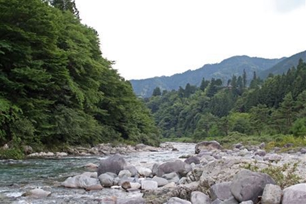 IMG_1693_edited-1_T_T1