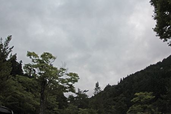 IMG_1900_edited-1_T_T1