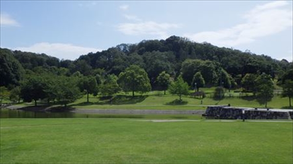 RIMG0237_R_R