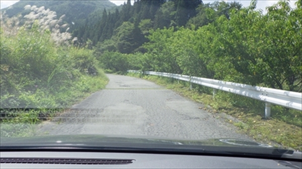 RIMG0573_R_R