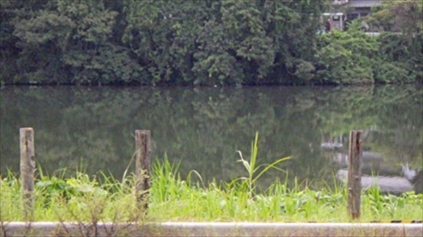 RIMG0659_edited-1_T_R