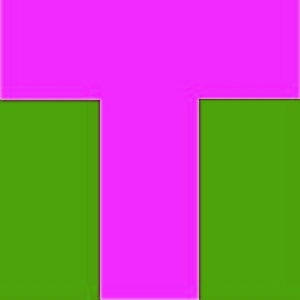 t-point4