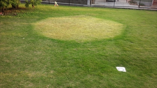 IMG_20151009_163351_R_R