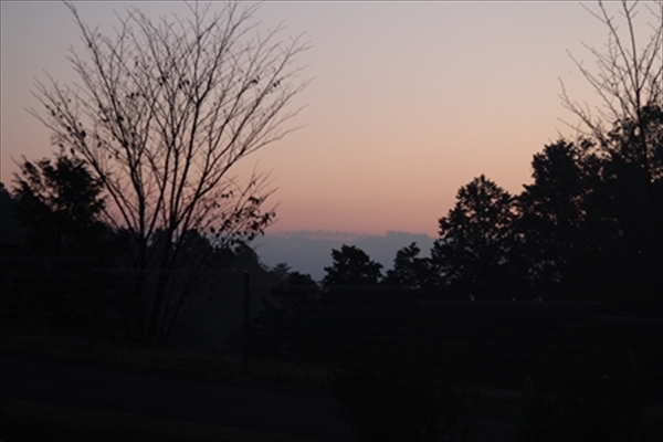 IMG_4084_T_R