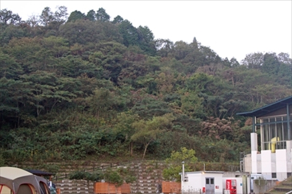 IMG_4091_edited-1_T_R