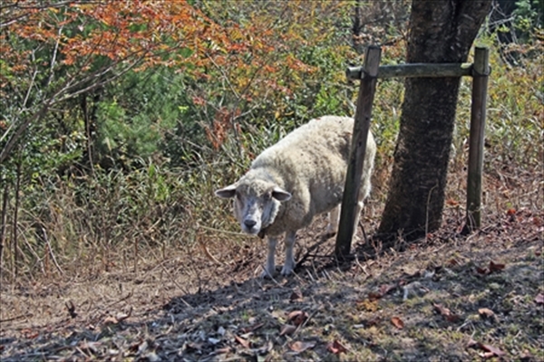 IMG_4117_edited-1_T_R