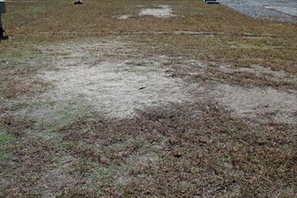 IMG_4120_edited-1_T_R