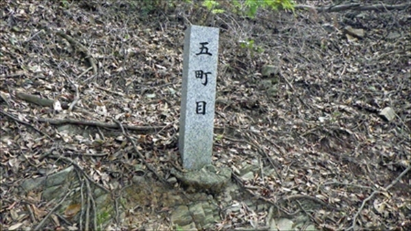 RIMG0925_edited-1_R_R