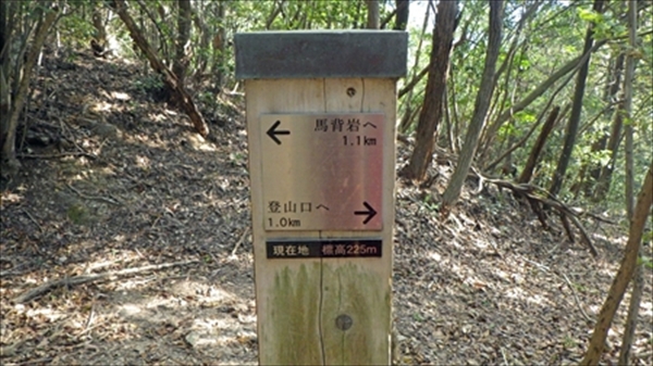 RIMG0937_edited-1_R_R