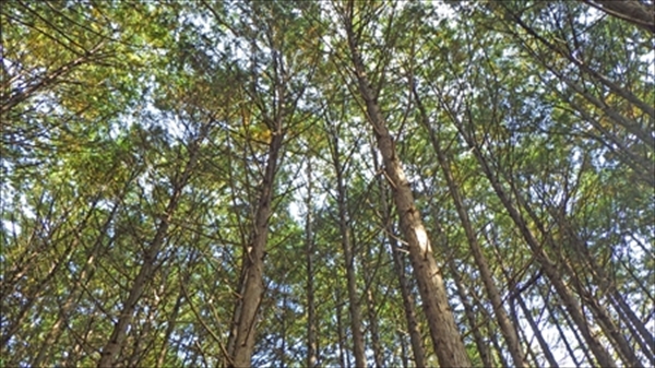 RIMG0949_edited-1_R_R