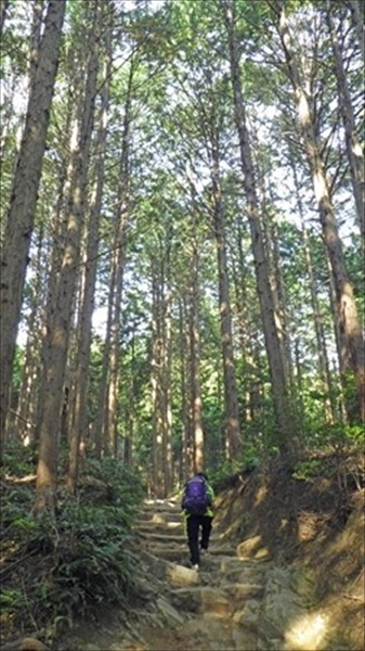 RIMG0953_edited-1_R_R