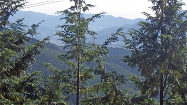 RIMG0964_edited-1_R_R