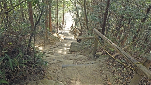RIMG0981_edited-1_R_R