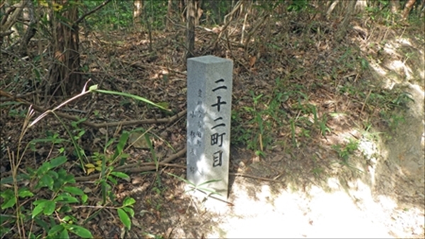 RIMG0982_edited-1_R_R
