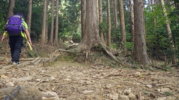 RIMG0988_edited-1_R_R