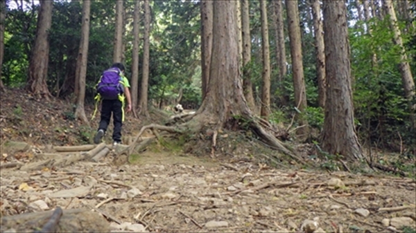 RIMG0989_edited-1_R_R