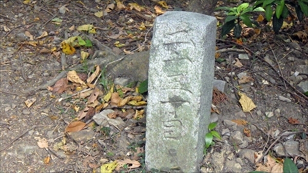 RIMG0990_edited-1_R_R