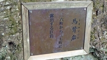 RIMG0991_edited-1_R